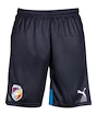 Set fanouška FC Viktoria Plzeň