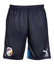 Set fanouška FC Viktoria Plzeň