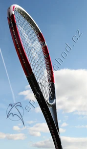 Set squashových raket Victor Ashaway I.W. 65 Control '07