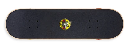 Skateboard Street Surfing Street Skate 31 Street N Roses