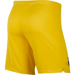 Šortky Nike Stadium FC Barcelona venkovní 19/20