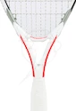 Speedminton