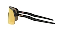 Sportovní brýle Oakley Sutro Lite Matte Carbon/Prizm 24k