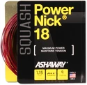 Squashový výplet Ashaway  PowerNick 18 Zyex Red 1,15 mm