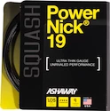 Squashový výplet Ashaway PowerNick 19 (9m)