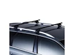 Střešní nosič Thule s ocelovou tyčí BMW X5 5-dr SUV se střešními podélníky (hagusy) 00-03