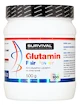 Survival Glutamin Fair Power 500 g