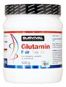 Survival Glutamin Fair Power 500 g