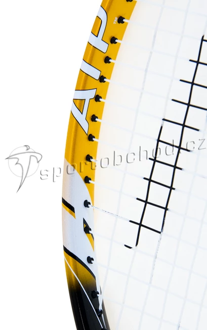 Tenisová raketa Head ATP Pro Microgel ´12 + TAŠKA