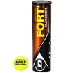 Tenisové míče Dunlop  Fort Clay Court