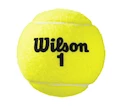 Tenisové míče Wilson Australian Open Can (4ks)