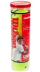 Tenisové míče Wilson  Championship (4 Pack)