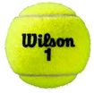 Tenisové míče Wilson  Roland Garros All Court (4 ks)