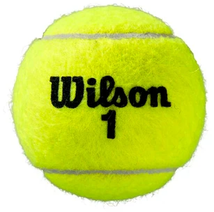 Tenisové míče Wilson  Roland Garros All Court (4 Pack)