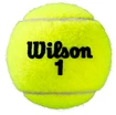 Tenisové míče Wilson Roland Garros Clay (3 ks)