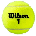 Tenisové míče Wilson Roland Garros Clay (4 ks)