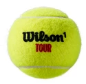 Tenisové míče Wilson Tour Premier Clay Court (4ks)
