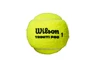 Tenisové míče Wilson  Triniti Pro (4 ks)