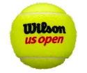 Tenisové míče Wilson US Open (3ks)