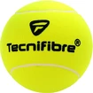 Tenisový míč velký Tecnifibre Giant Promo Ball