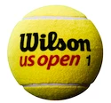 Tenisový míč Wilson US Open Mini Jumbo Ball Yellow 5''