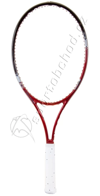 TESTOVACÍ RAKETA (Brno): Head IG Prestige MP ´12