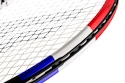 TESTOVACÍ RAKETA (BRNO): Tecnifibre TF40 305, L3