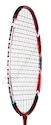 TESTOVACÍ RAKETA (Brno): Yonex Arcsaber 10 ´09 X-Mas Edition