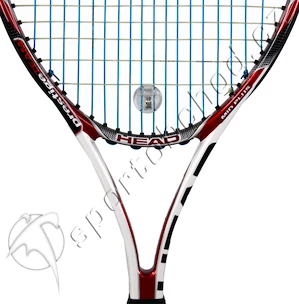 TESTOVACÍ RAKETA: Head MicroGel Prestige Team ´10 (vypletená)