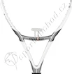 TESTOVACÍ RAKETA: Tenisová raketa Head Airflow 5 CrossBow ´10
