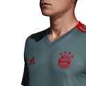 Tréninkový dres adidas FC Bayern Mnichov šedý