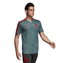 Tréninkový dres adidas FC Bayern Mnichov šedý