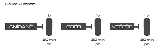 COMPRESS ECDYSTERONE