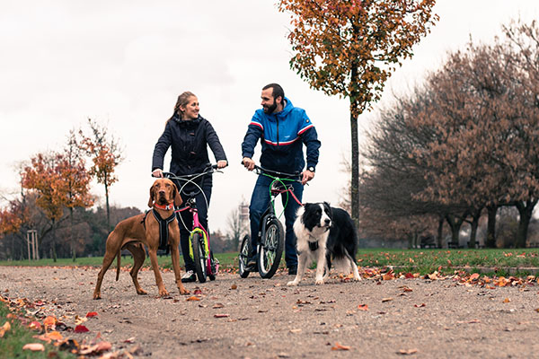 Yedoo koloběžky pro pejskaře a mushing