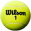 Velký tenisový míč Wilson Roland Garros 9" Jumbo Yellow