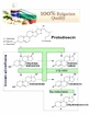 VemoHerb Tribulus Terrestris MAXX 60 kapslí