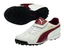 VÝPRODEJ - Kopačky Puma Liga XL TT