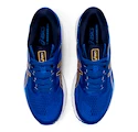 Vyzkoušené - Pánské běžecké boty Asics Gel-Kayano 26 modré