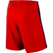 Zápasové šortky Nike FC Barcelona Red