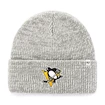 Zimní čepice 47 Brand Brain Freeze NHL Pittsburgh Penguins