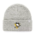 Zimní čepice 47 Brand Brain Freeze NHL Pittsburgh Penguins