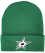 Zimní čepice Mitchell & Ness Team Logo NHL Dallas Stars